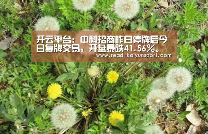 开云体育